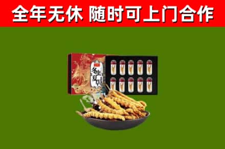 鹤岗市回收冬虫夏草价格